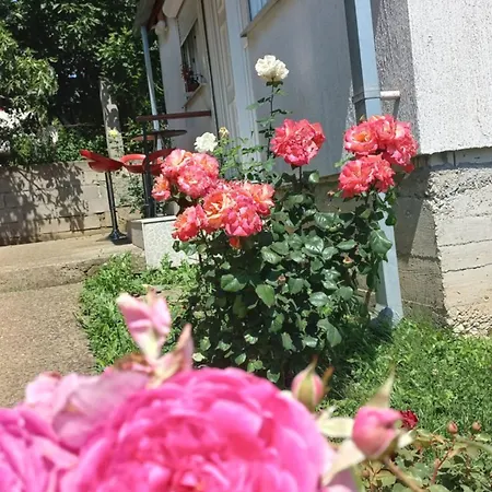 ꕤ Comfy Home ꕤ - Make Yourself At Home Belgrad Exterior foto